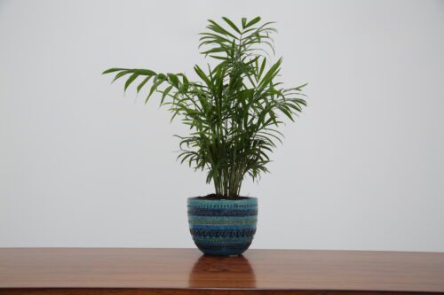 Vintage Blue Rimini Pattern Flower Pot by Aldo Londi for Bitossi 1